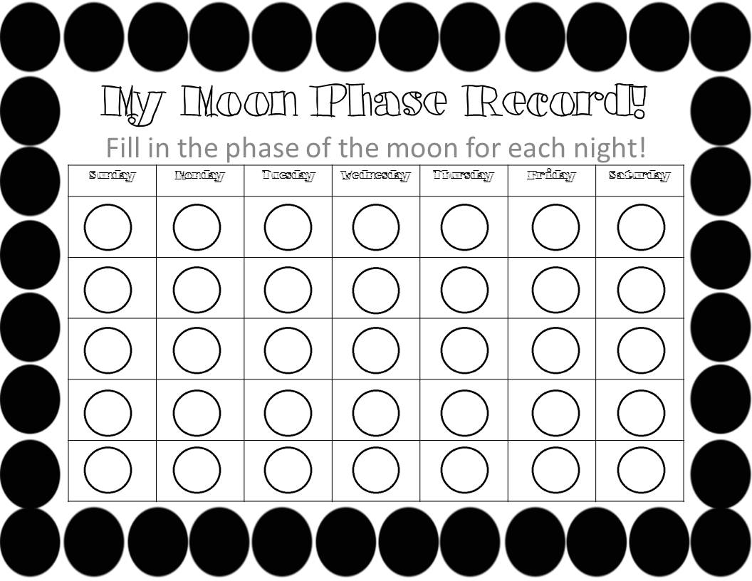 How can I tell what phase the moon is in?